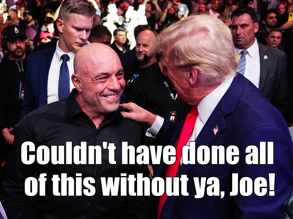 Anonymous tweet media