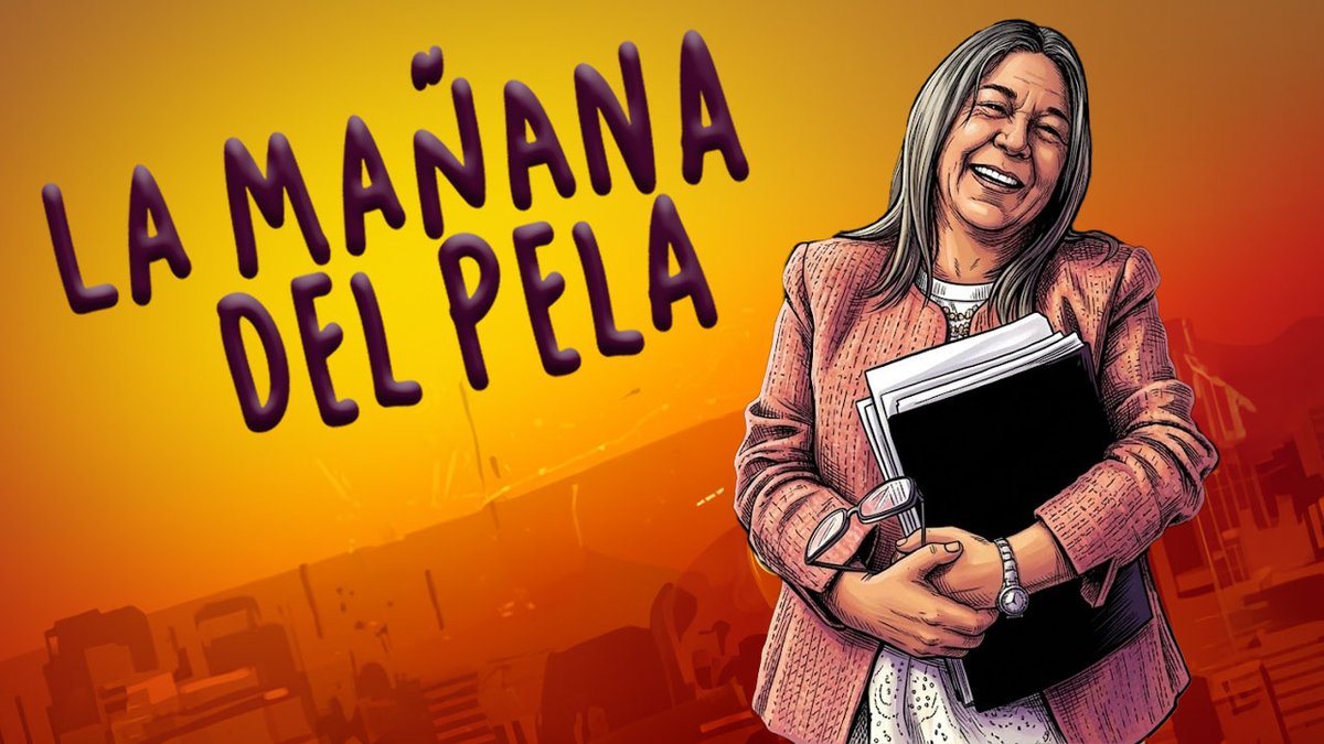 PELAVISIÓN tweet media