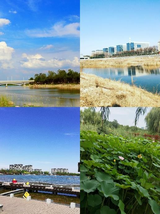 DiamondDivas.ca tweet media