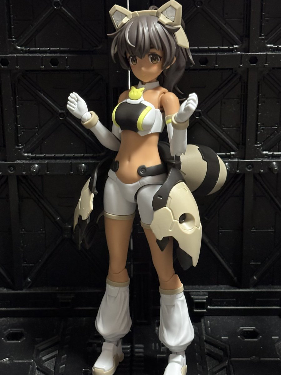 レアレナード tweet media