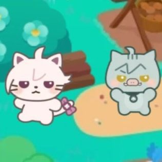 Mag 🐝 tweet media