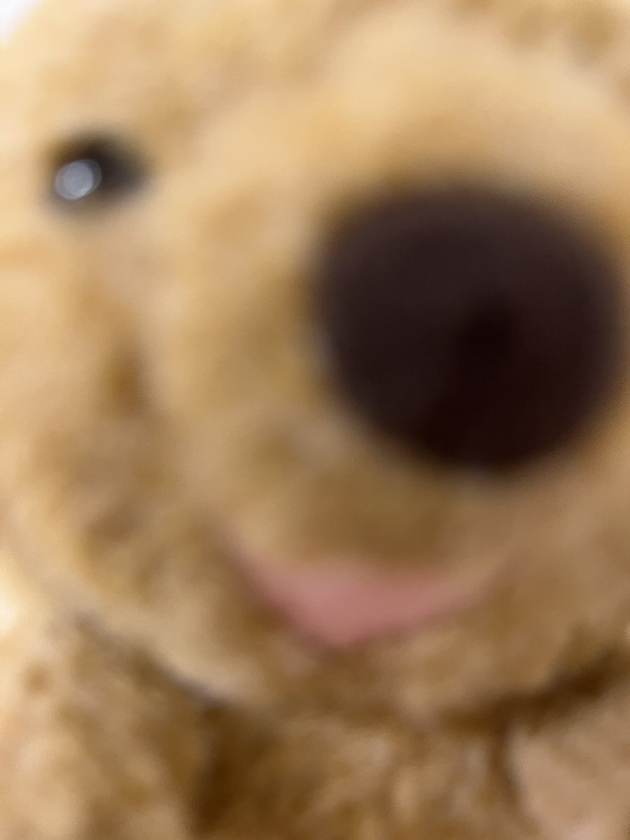 ハァハァハァハァハァハァハァハァハァｱｼﾀ