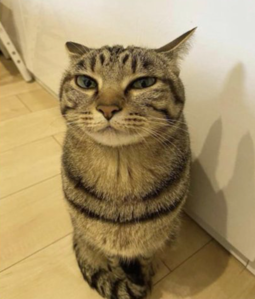 Gold⚔️ tweet media