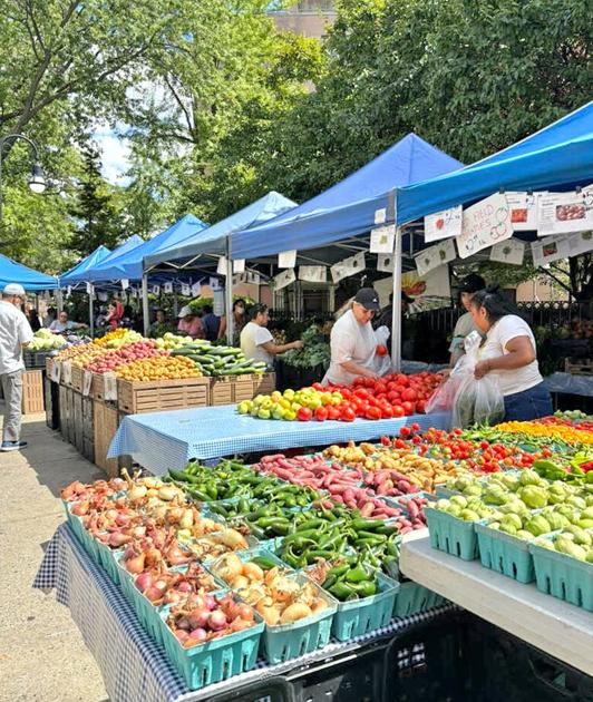 Queens Chronicle tweet media