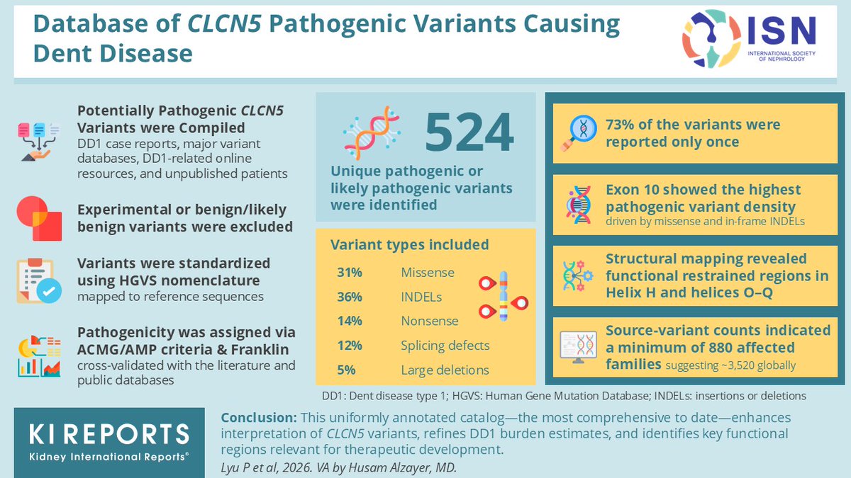 KIReports's tweet image. Database of #CLCN5 Pathogenic Variants Causing #Dent Disease

#VisualAbstract by @Husamjz

kireports.org/article/S2468-…
