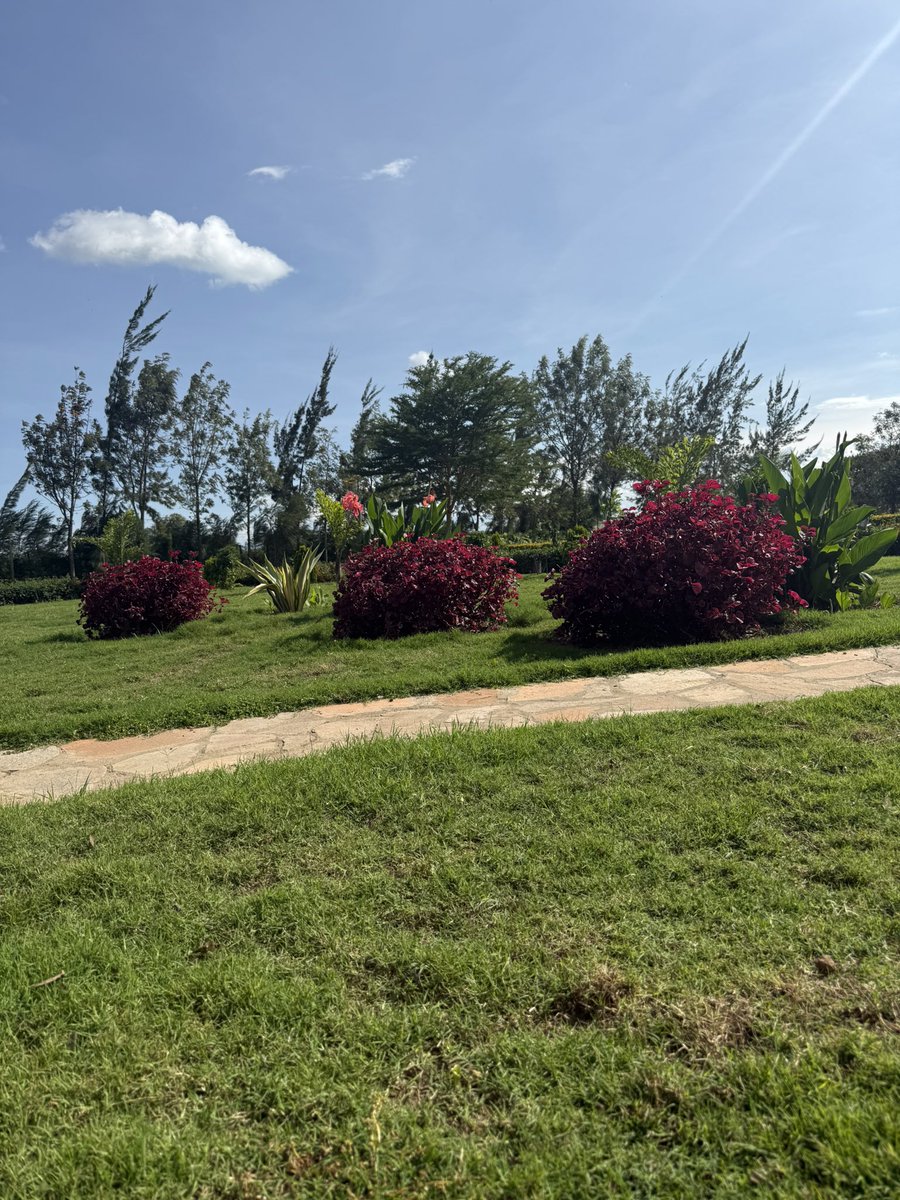 Somoina Kapeen tweet media