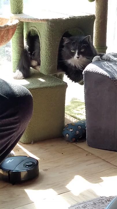 bambam 🇨🇦 tweet media