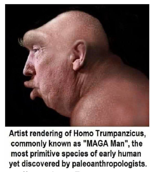 mahna_mahna_'s tweet image. #maga #magat #potus #trump