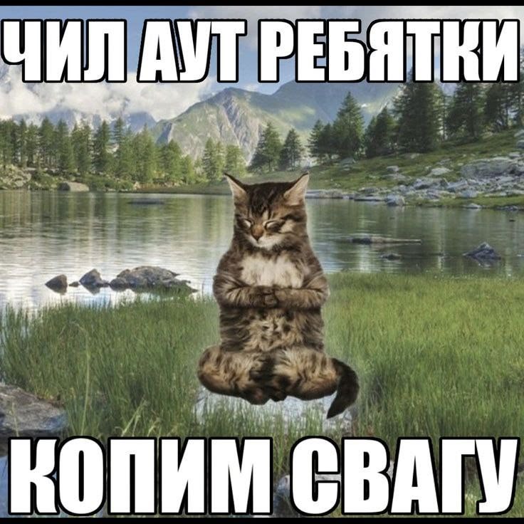 дыняня tweet media