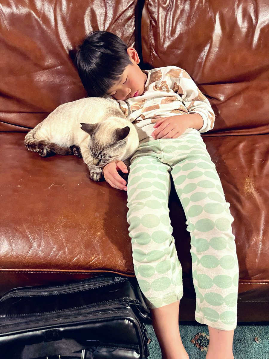 園田みつよし　遊び人から社長に転職 tweet media