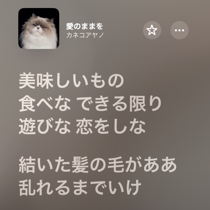 汐俐 tweet media
