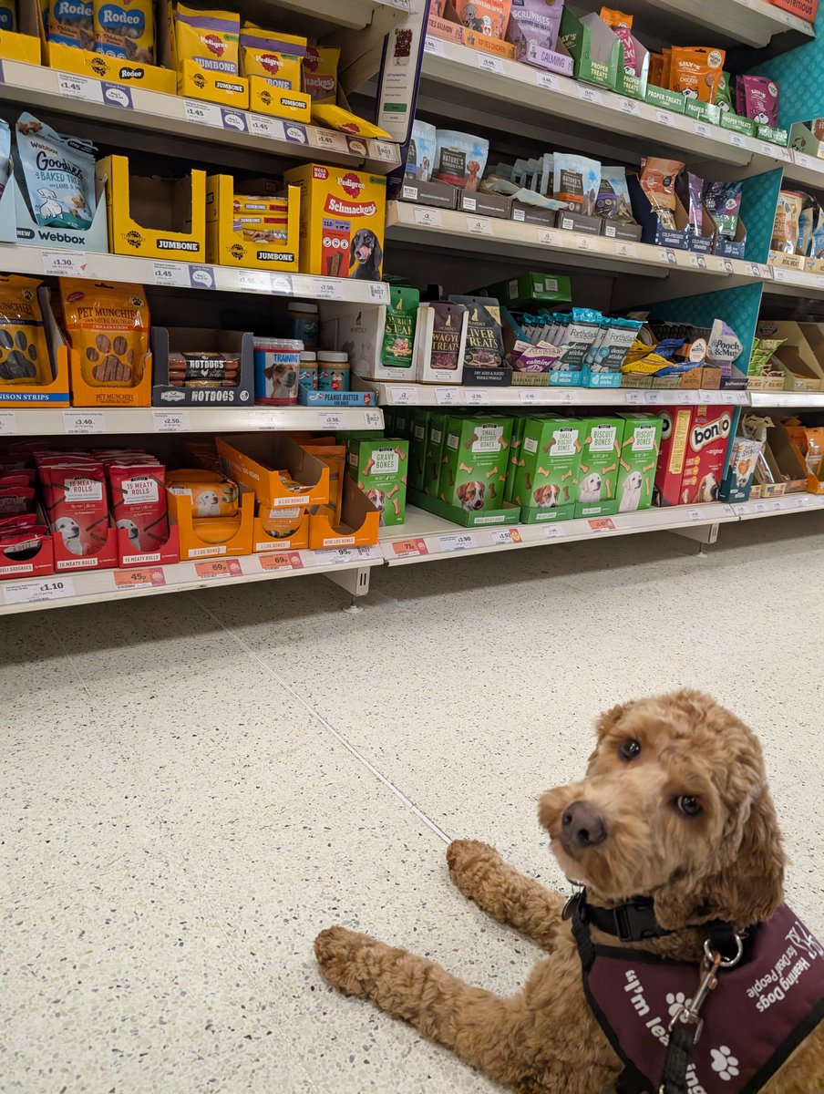 Hearing Dogs for Deaf People tweet media