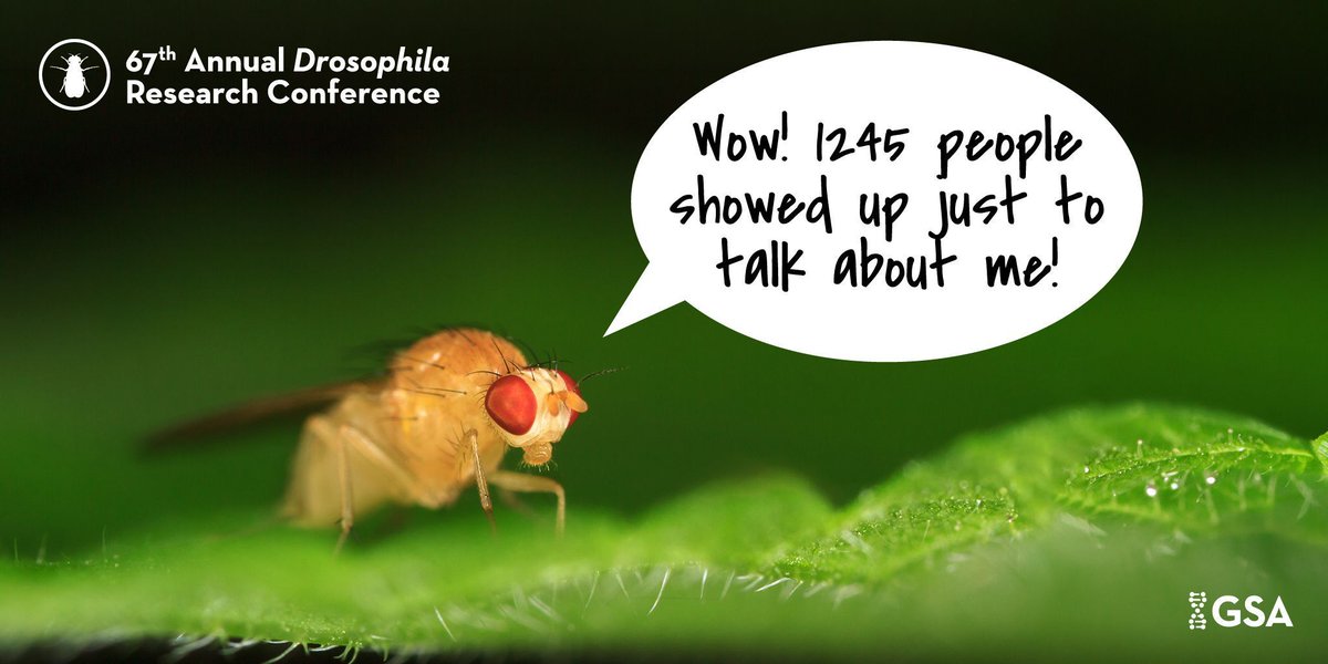 Genetics Society of America tweet media