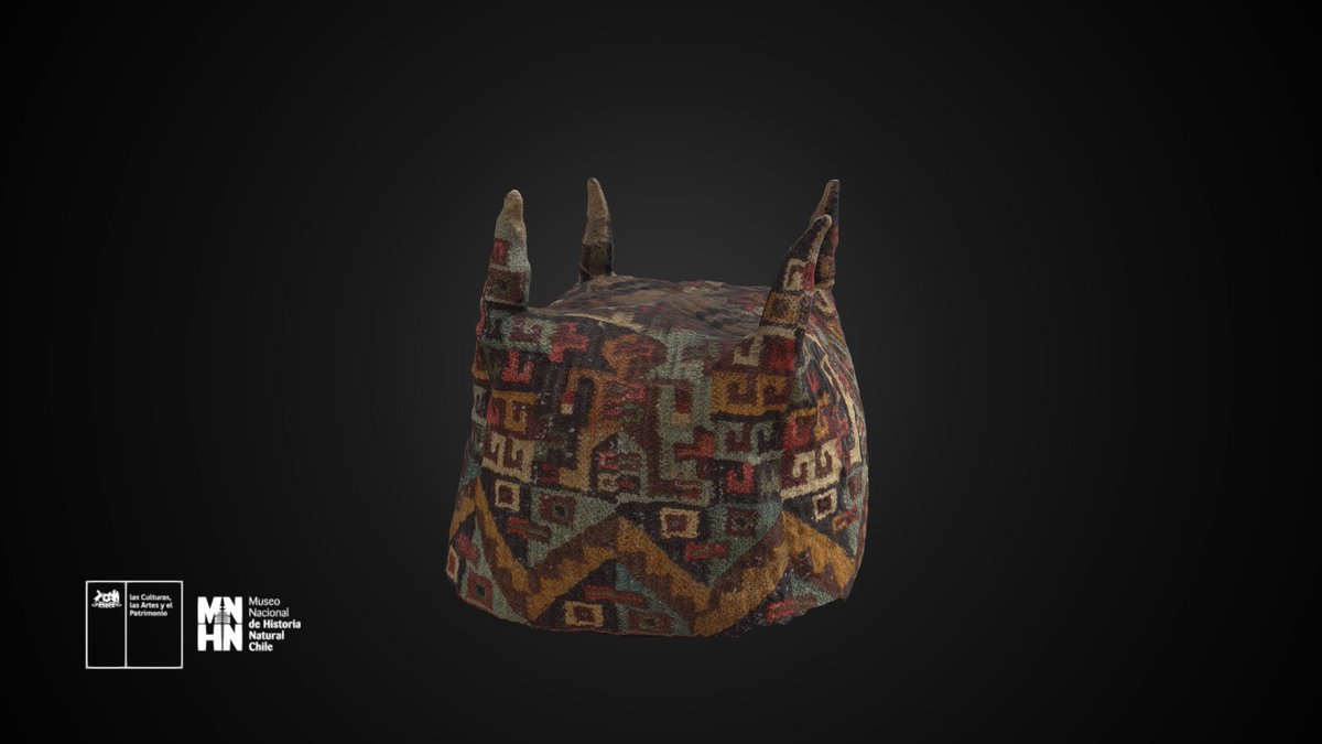 Museo Nacional de Historia Natural tweet media