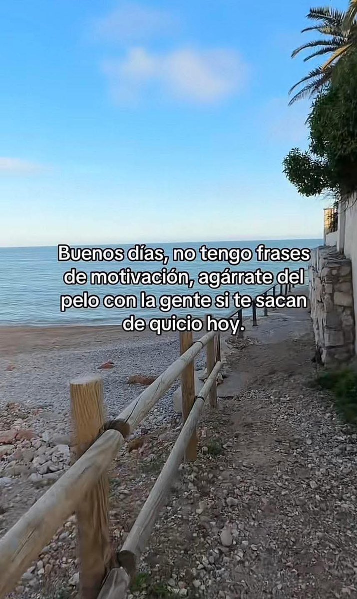 Tremenda tweet media