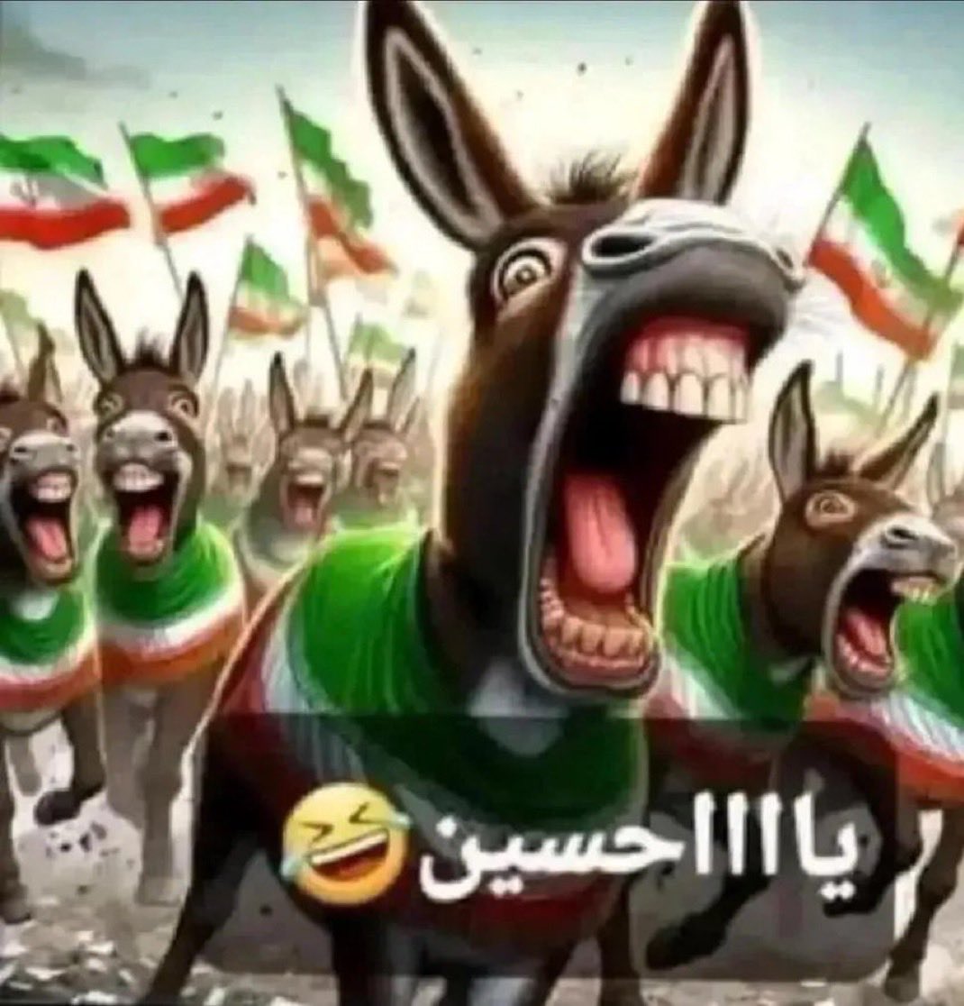 لشبونه tweet media