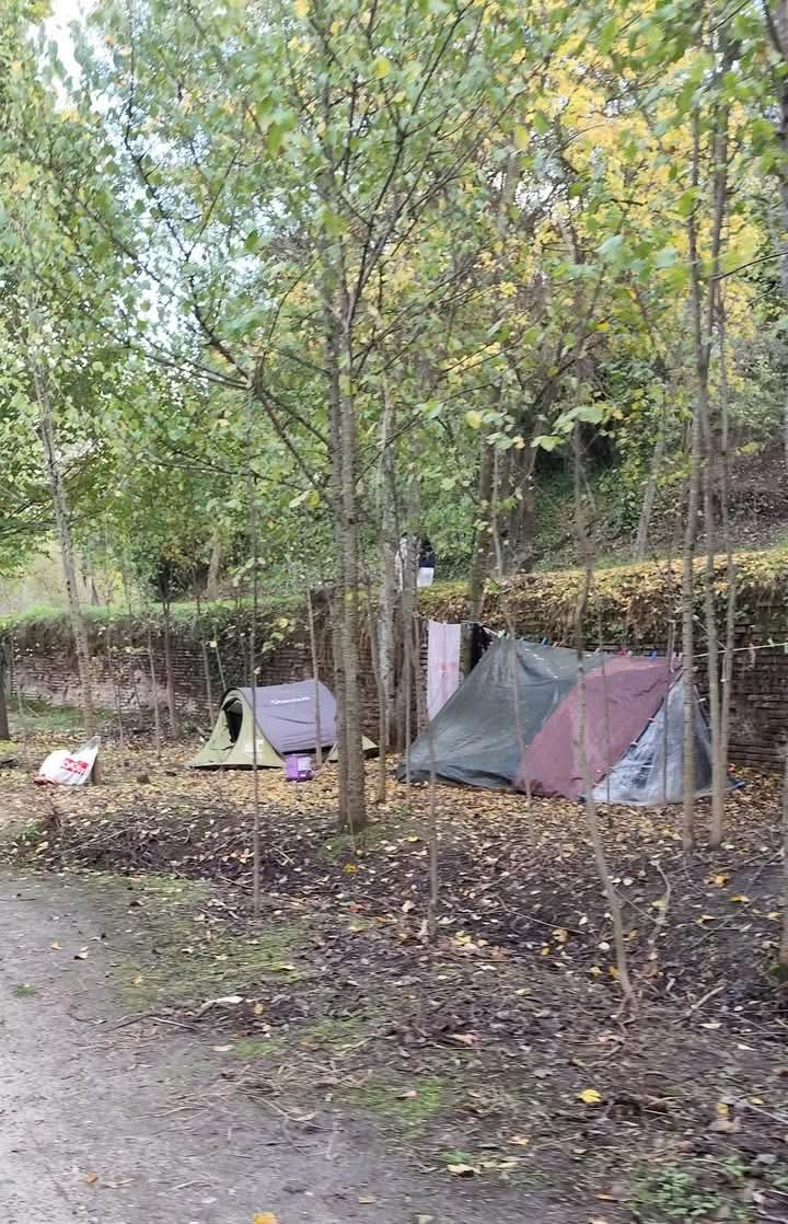 El Buen Pastor🌾 tweet media