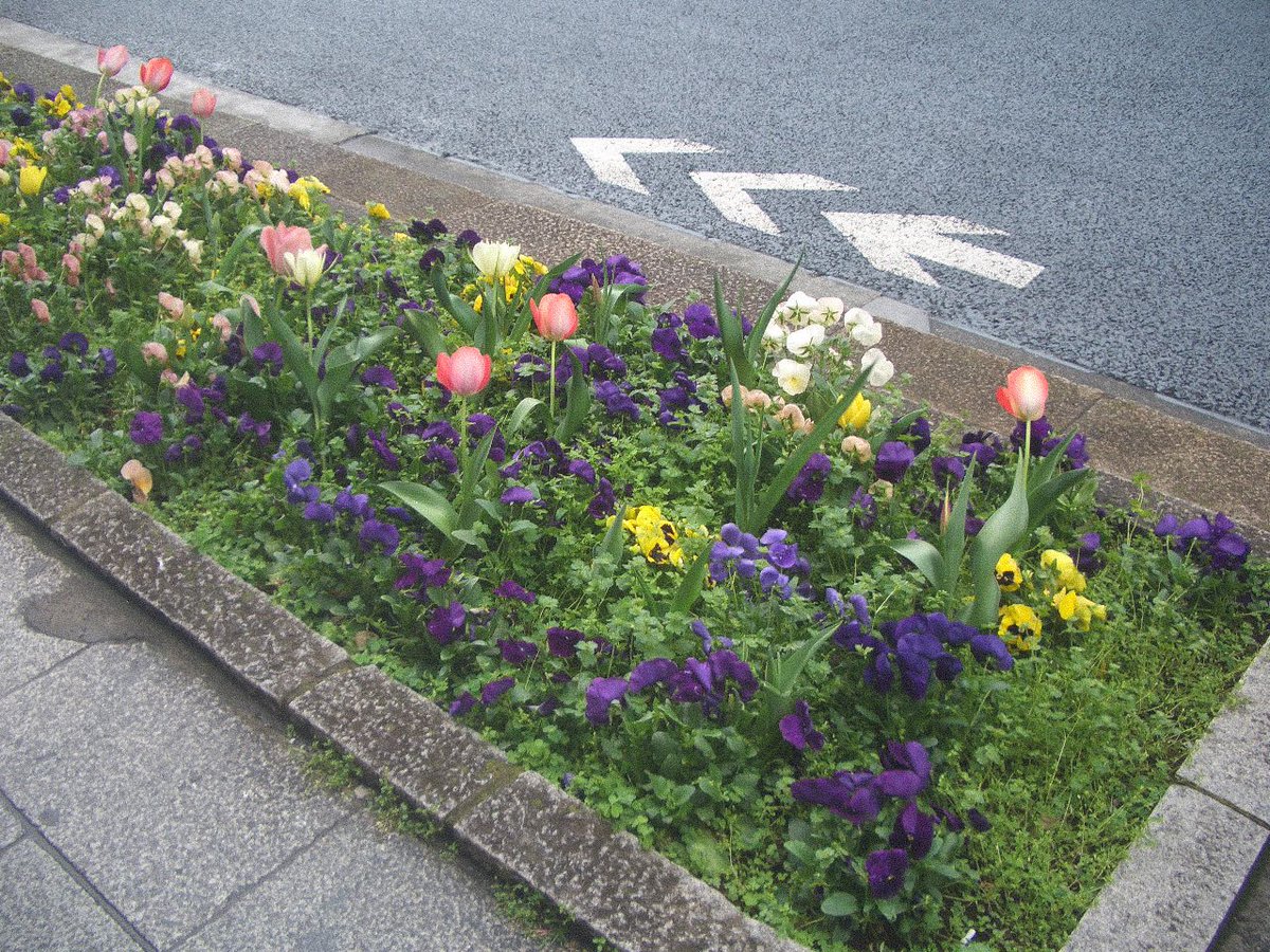 203号室 tweet media