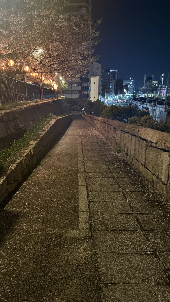 よっさん＠現在、はるかちゃん推し‼️ tweet media