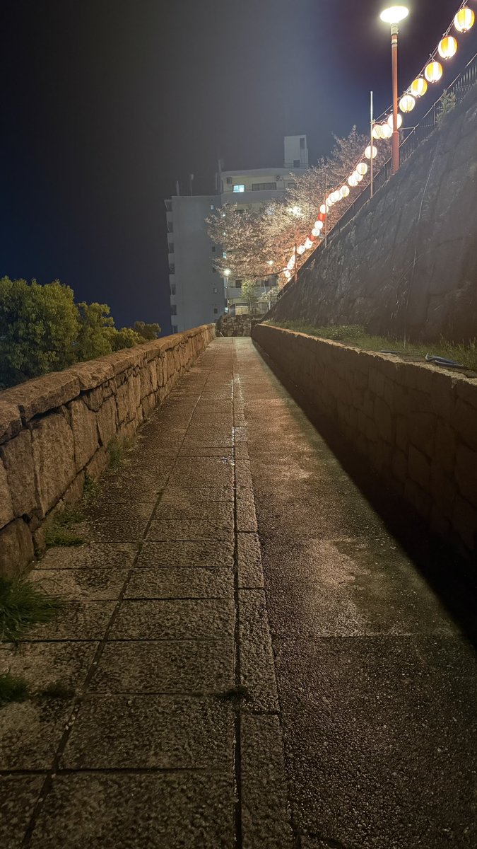 よっさん＠現在、はるかちゃん推し‼️ tweet media