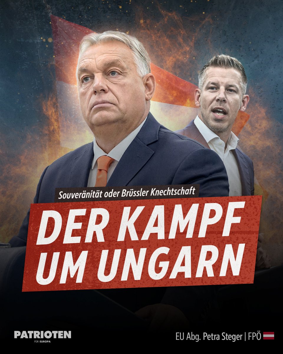 Petra Steger tweet media