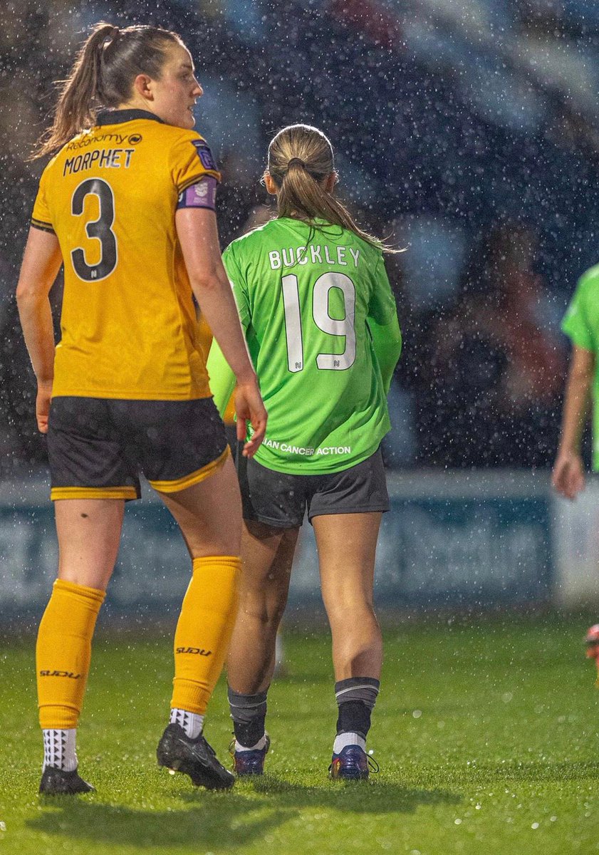 Future Pro tweet media