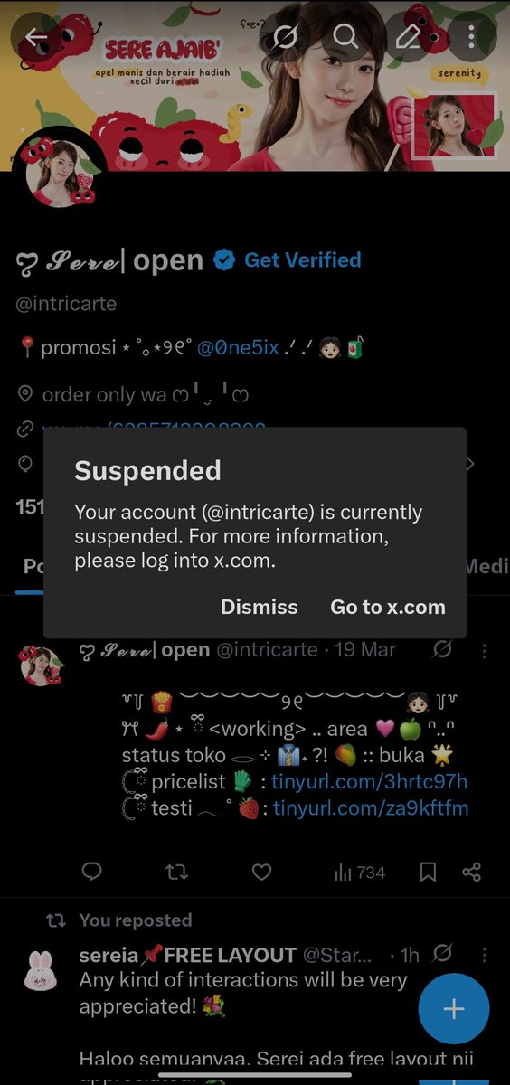 ᥬᩤ serenity | promosi tweet media
