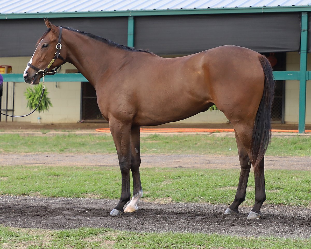 Jason Hall tweet media