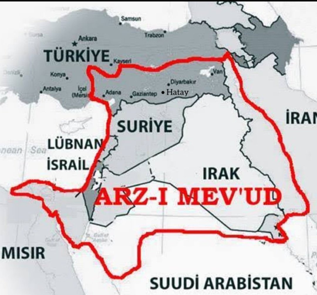 Selin 🇹🇷 tweet media