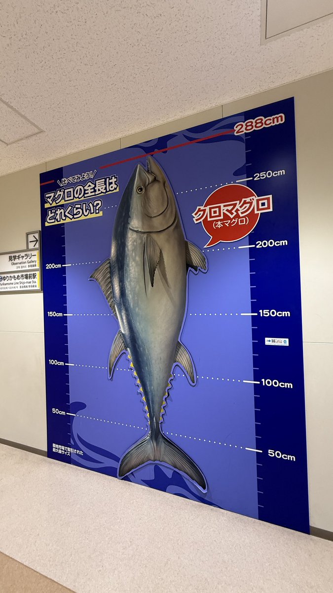 ⛵️あさみ tweet media