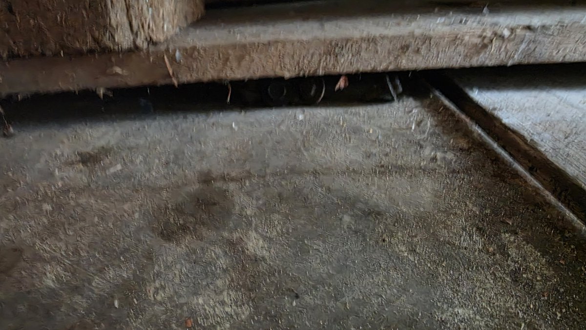 𝓒𝓱𝔂𝓽𝓻𝔂́ 𝓜𝓲𝓻𝓮𝓴 🧐 tweet media