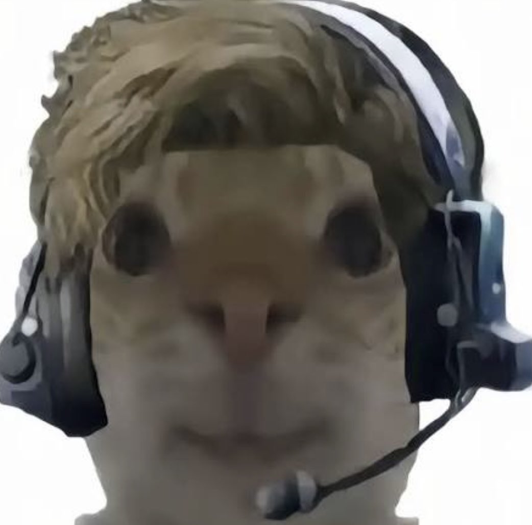 あさでこがんばれや tweet media