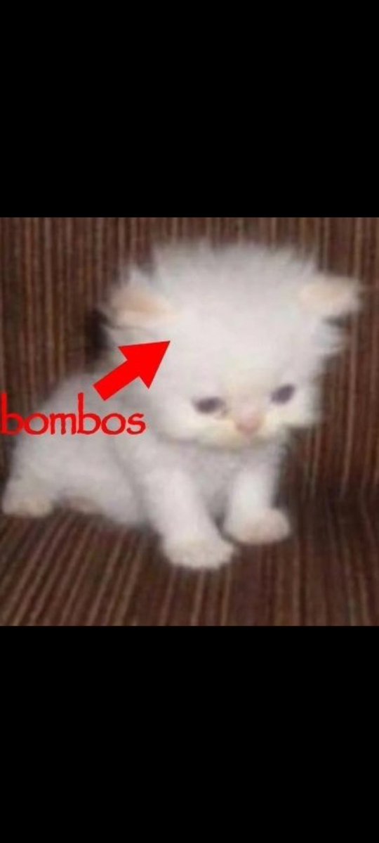 oytun🇳🇬 tweet media