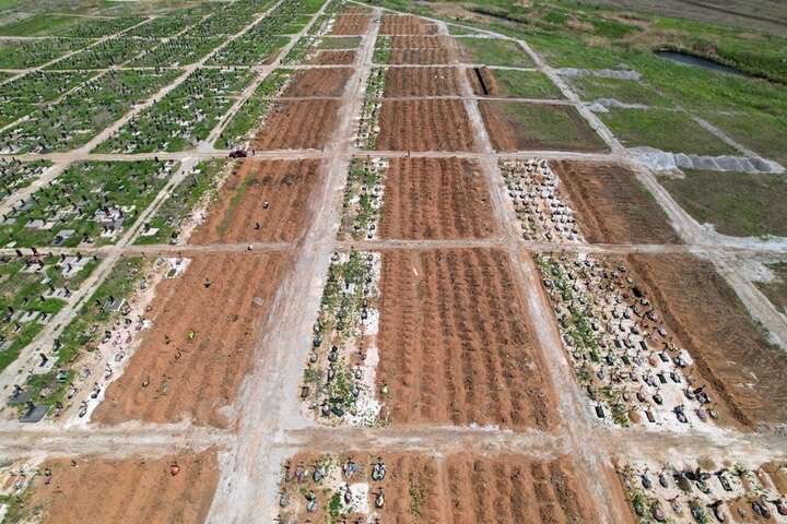 Буйна Черемшина tweet media