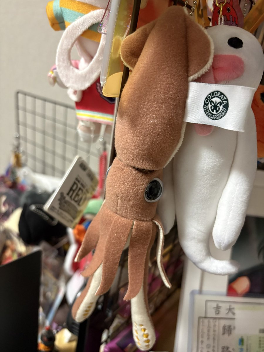 OnoCyou_ tweet media