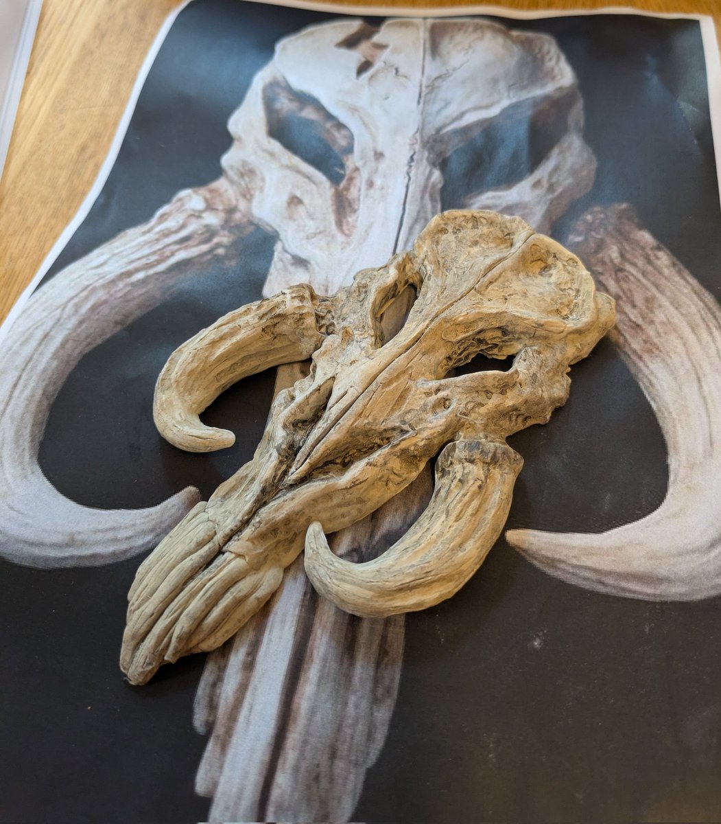 砂山砂子➾4/11博多ボバ本 tweet media