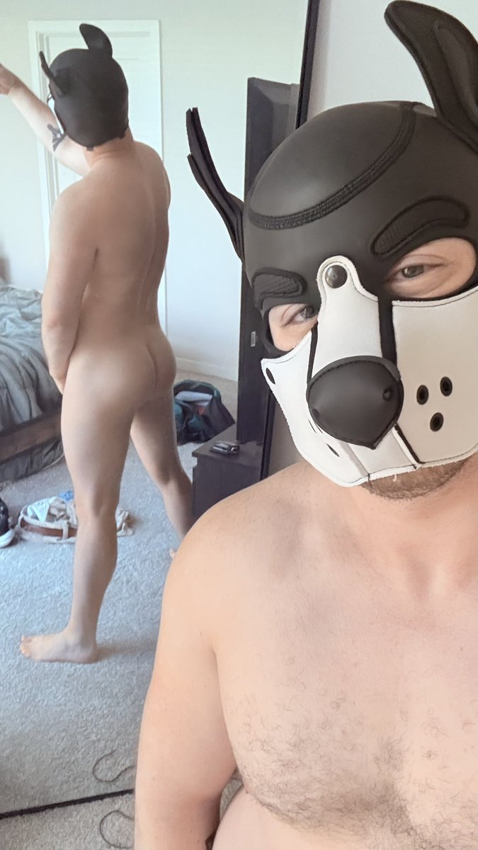 Blaidd and Trance ➡️ PURPLE PARTY tweet media