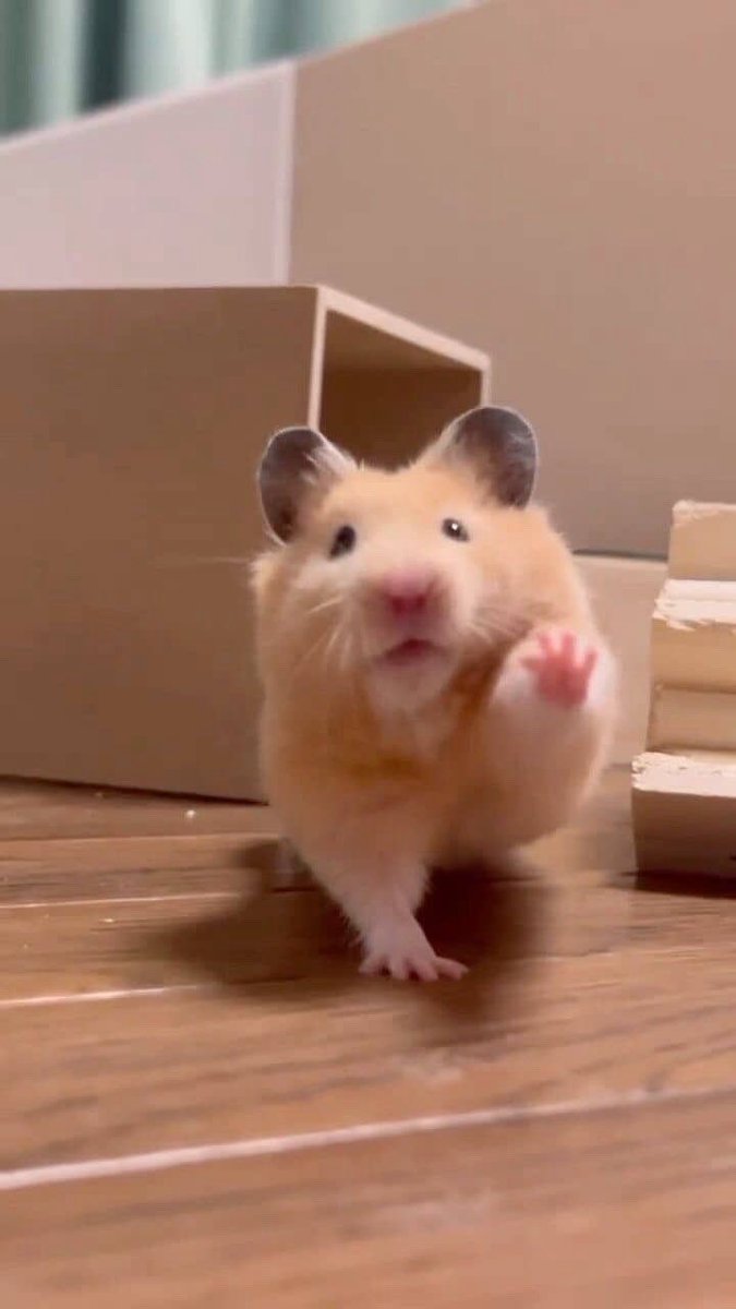 out of context koo tweet media