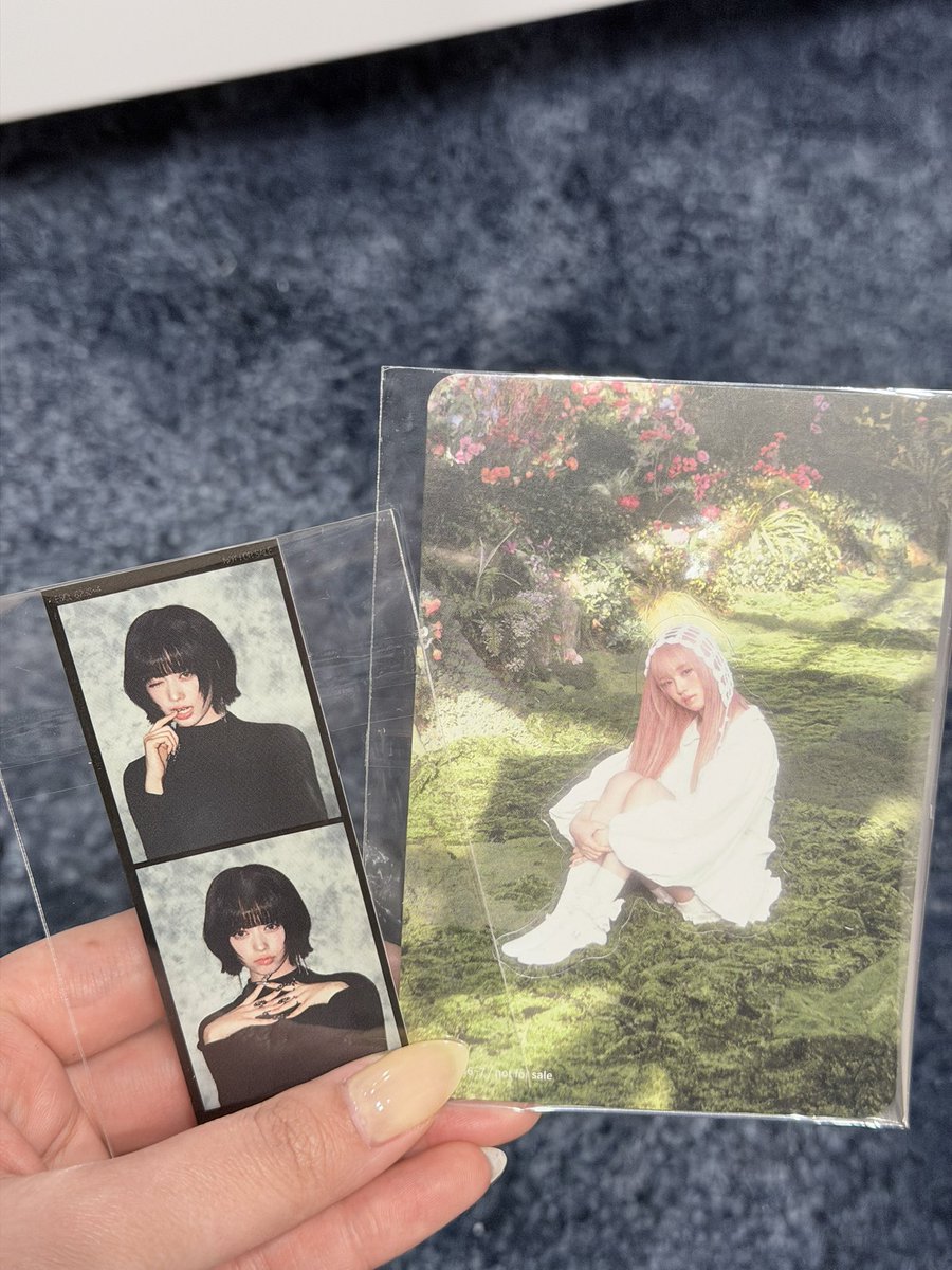 さくら tweet media