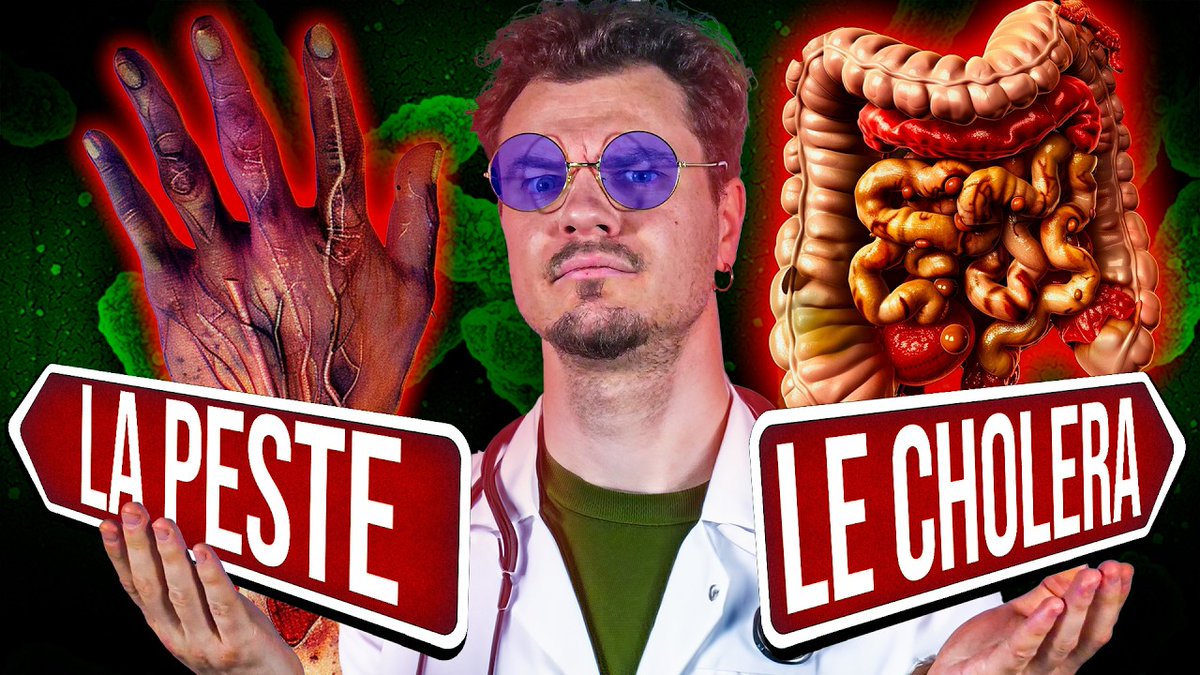 LE CASTOR DU CONGO tweet media