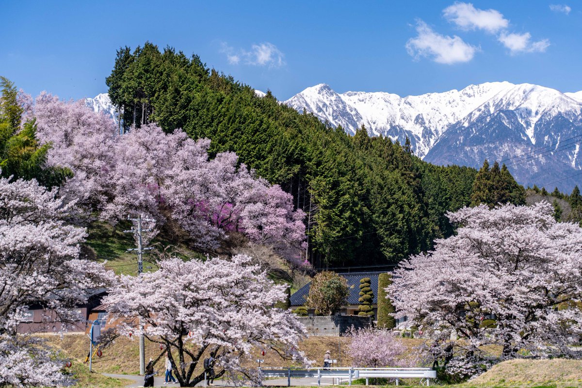 ラグ🏍🐟📷 tweet media