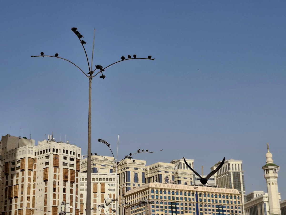 Salsabila 🫒 tweet media