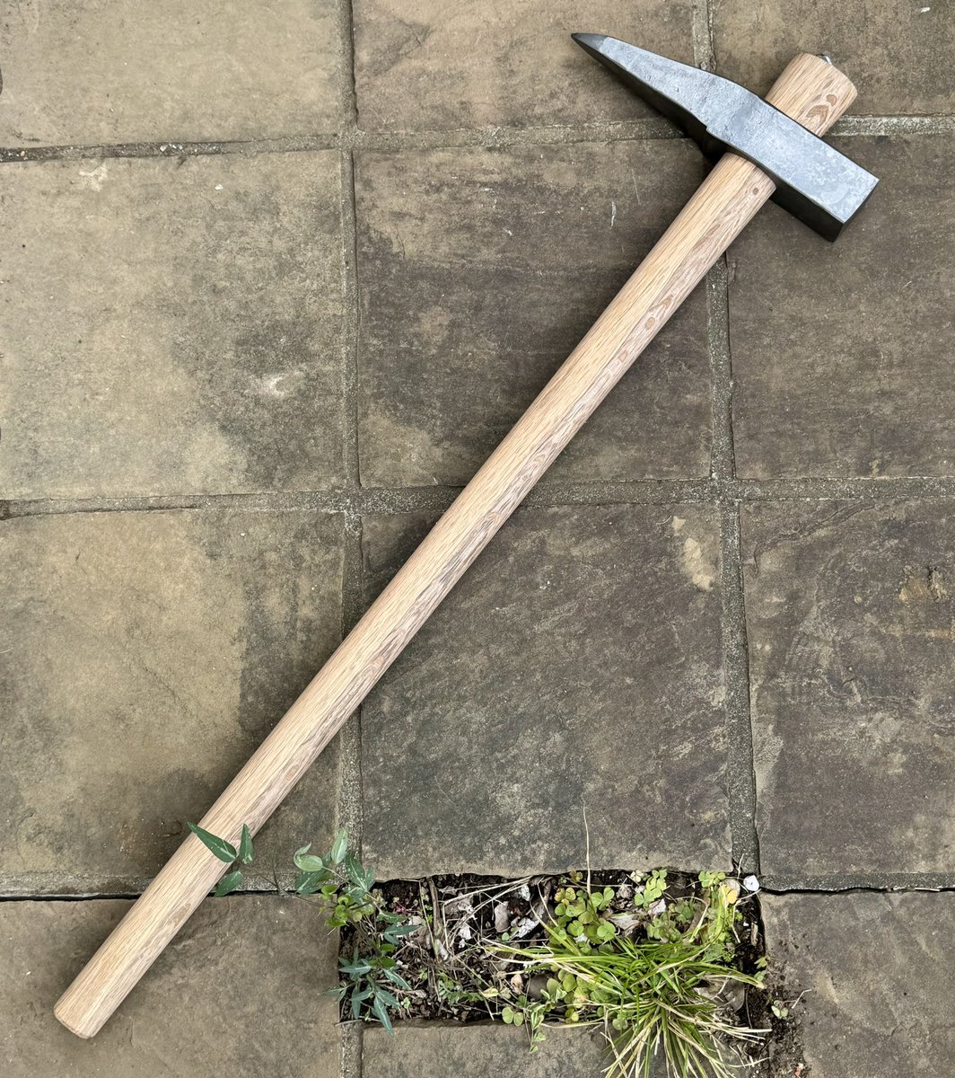 恥とテキスト@ムスカ大佐はゴミ拾いの夢を見る tweet media