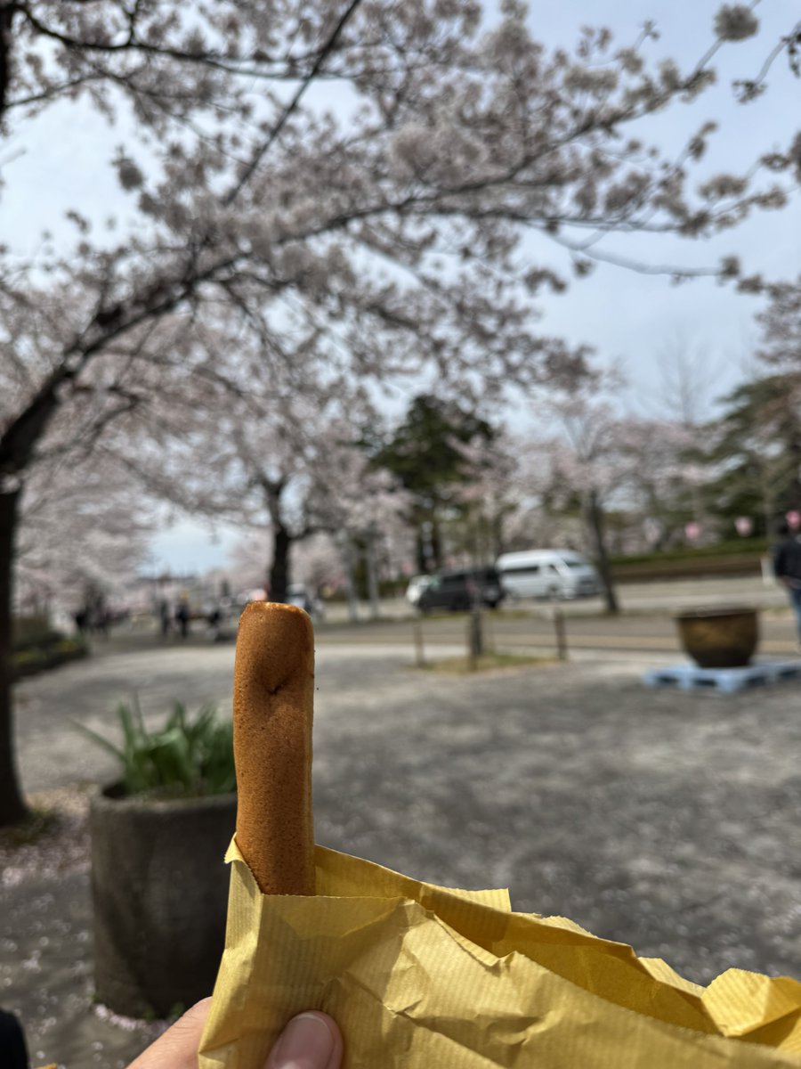 Pacific_O13's tweet photo. 高田城址の桜を見に行ってきた。一昨年は食べ損ねたぽっぽ焼きもこんどはちゃんと食べたぞ https://t.co/Gx6RyeDK5D