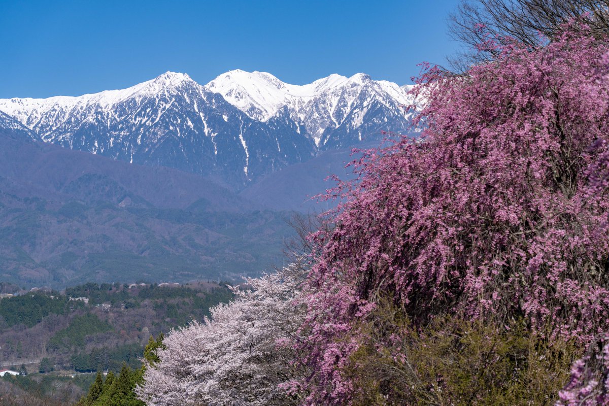 ラグ🏍🐟📷 tweet media