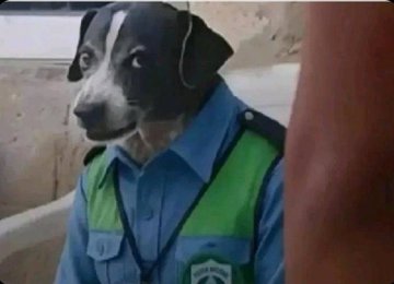 「 The Reply Guy 」🦅 tweet media