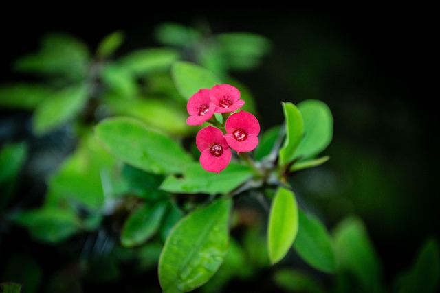 Joy Porter tweet media