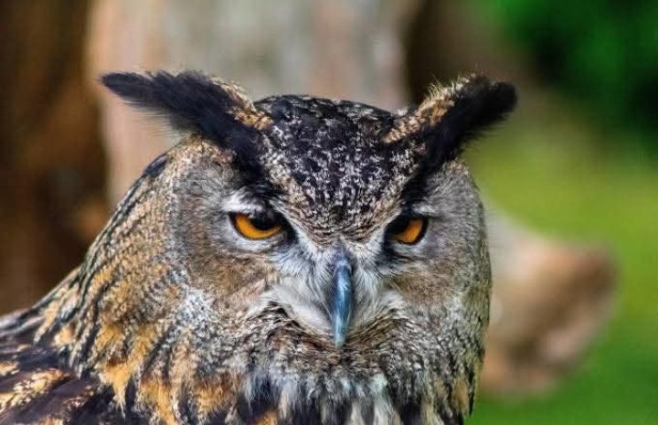 Hadi tweets🇵🇰 tweet media