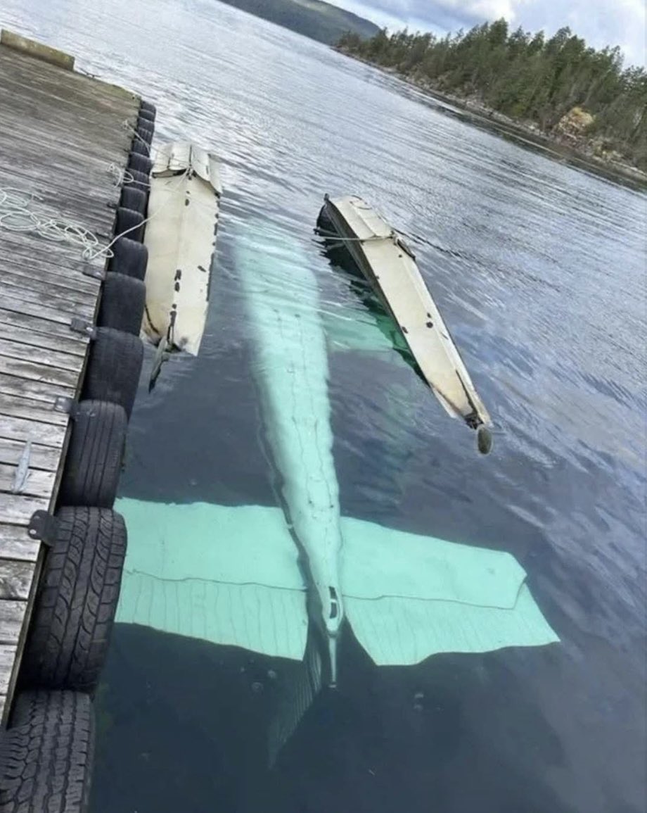 Virginie Sigonney 🇫🇷 tweet media