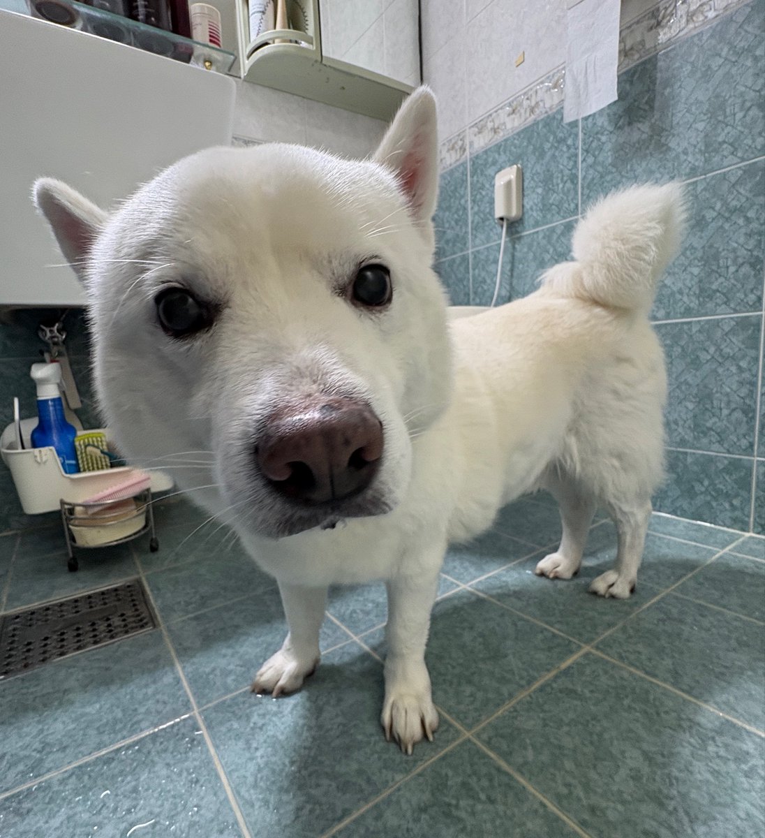 🐻‍❄️내이름은 윤석이🐻‍❄️ tweet media